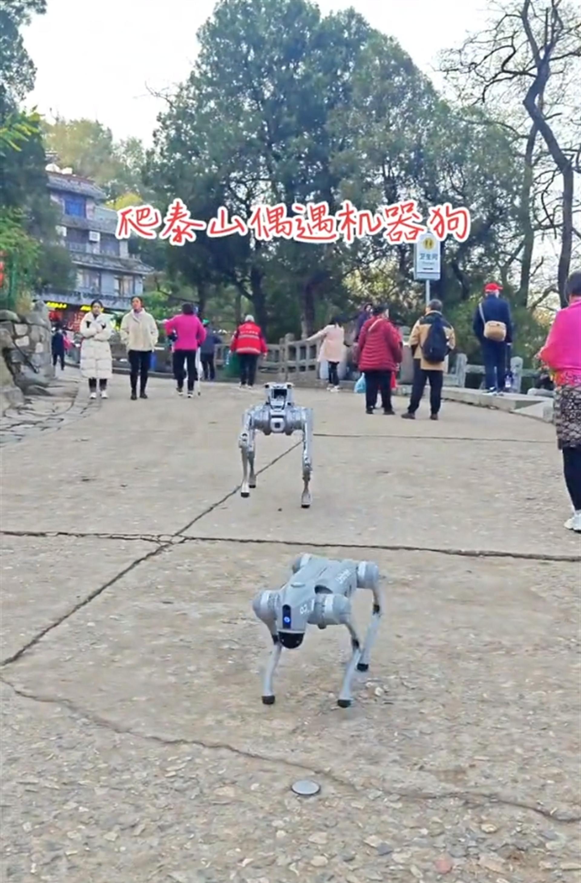 中国造机器狗灵活比心 亮相美国消费电子展