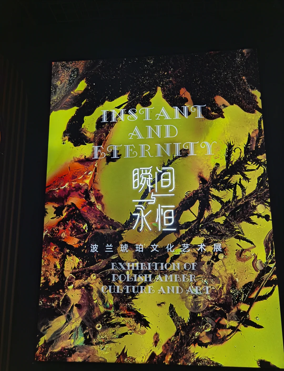 第二十一届“琥珀之路”国际琥珀珠宝展开幕