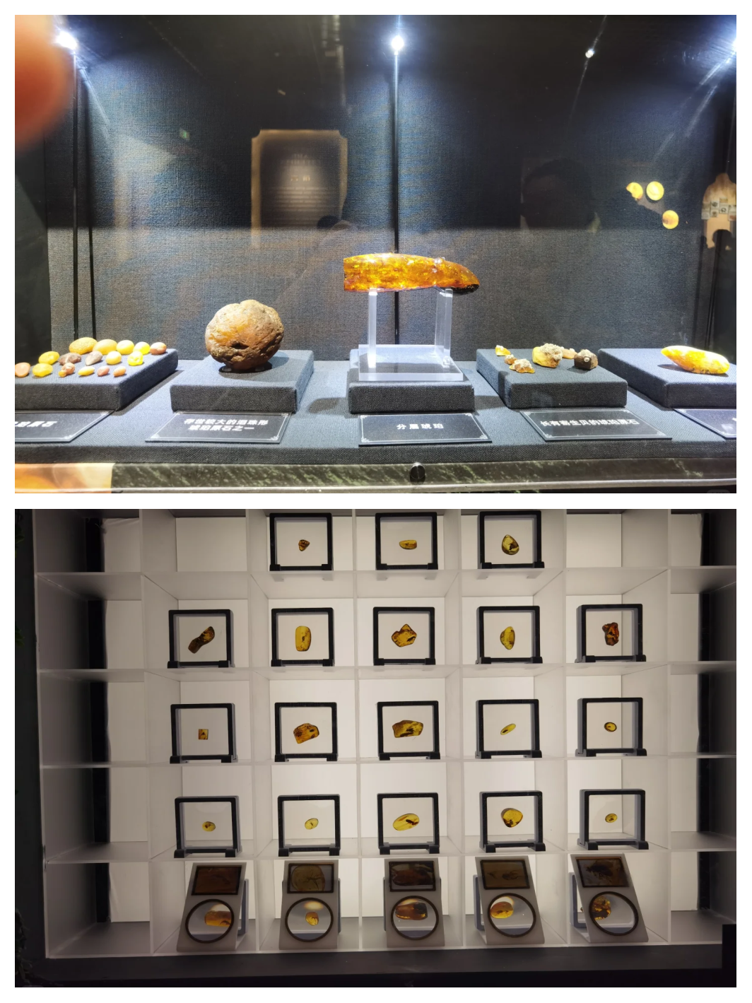 第二十一届“琥珀之路”国际琥珀珠宝展开幕