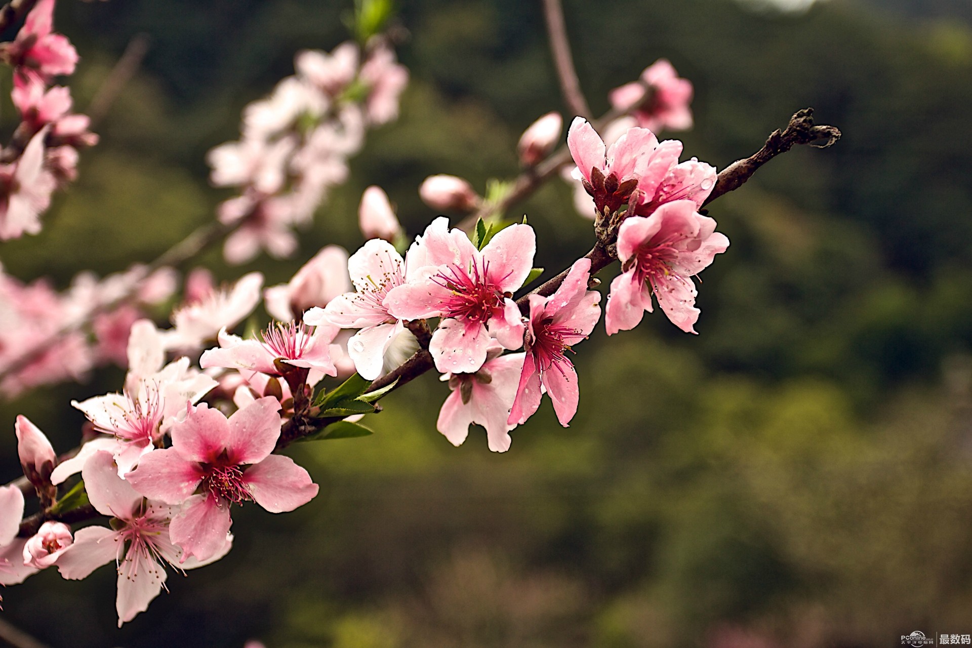 破浪前行风帆劲|“绿”意盎然 “新”意不断 县域经济厚实我国经济“底盘”