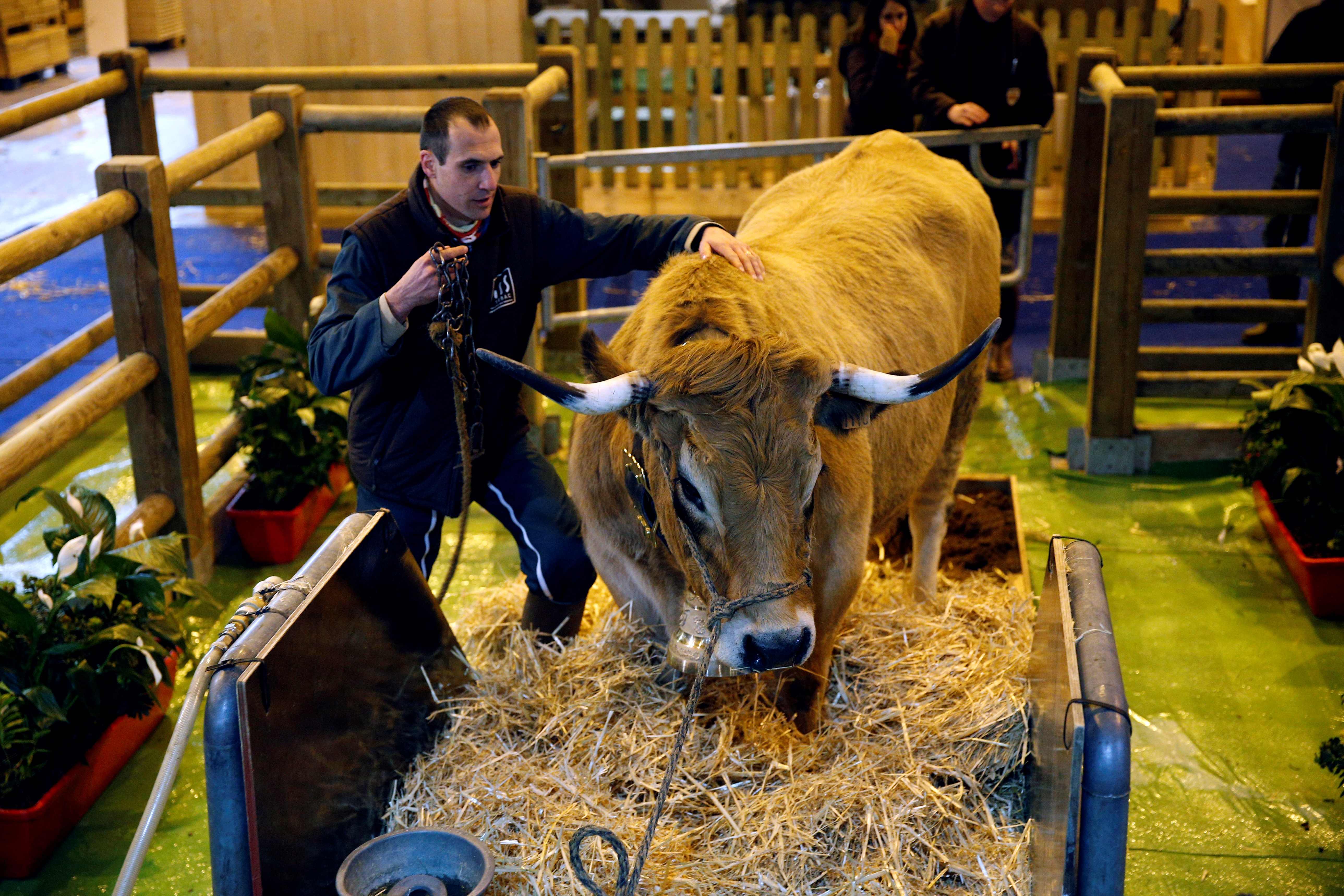 通讯｜中国馆在法国农博会焕新登场