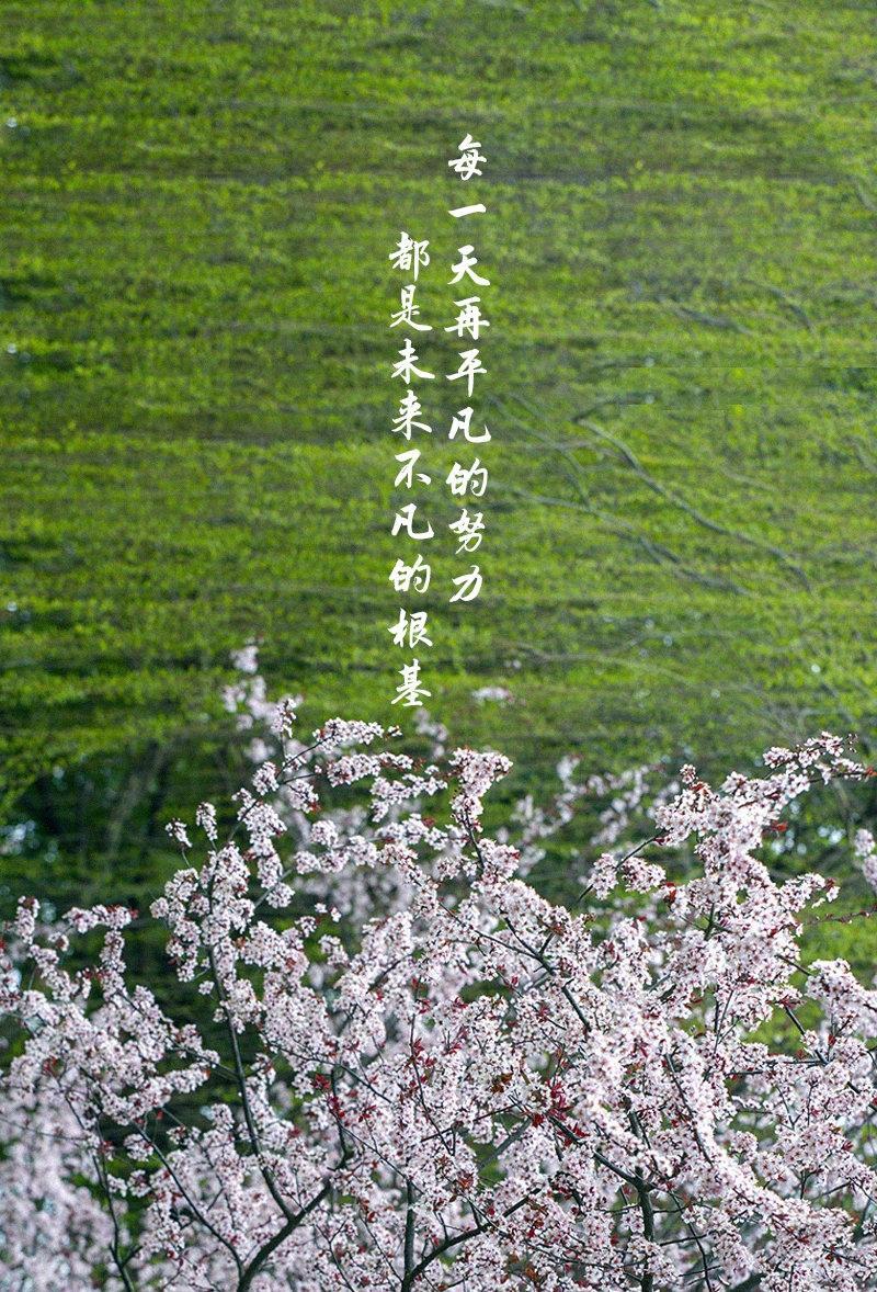 寻觅春天里的新机遇——一场春季招聘会背后的就业新活力
