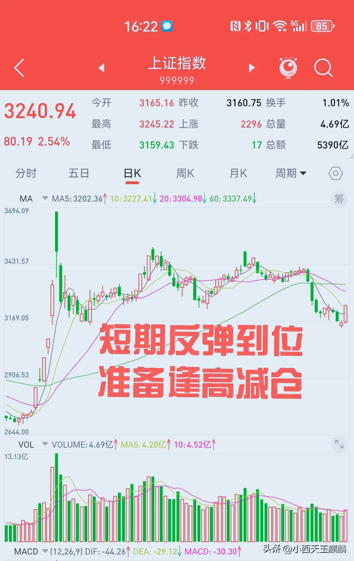 3月12日收盘焦炭期货持仓较上日增持892手