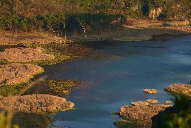 春江水暖:从先行指标看经济新气象