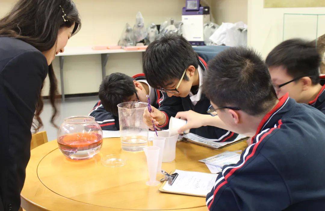 中国科技馆推出2025年科学方法特训营科学教育项目