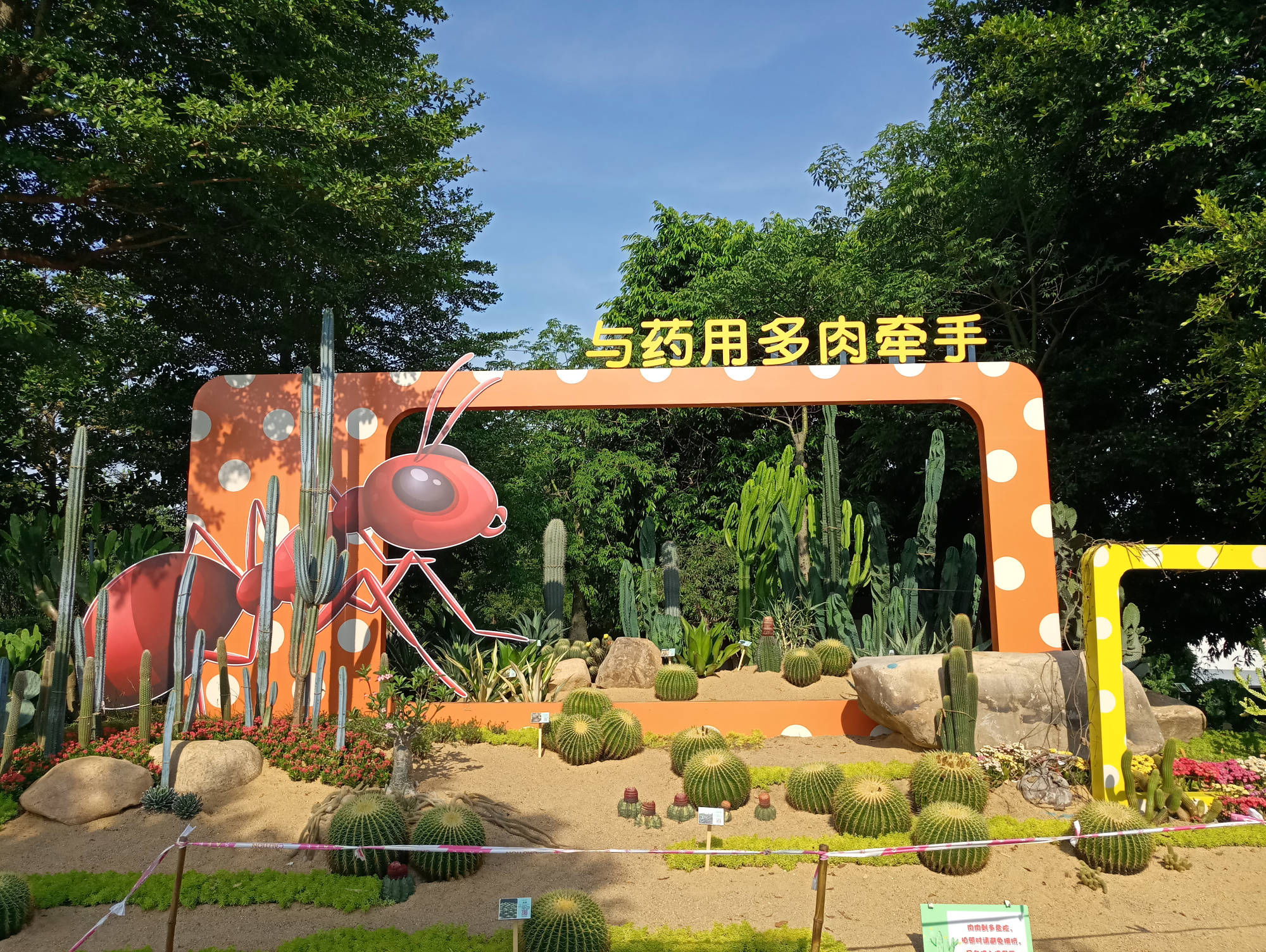 符拉迪沃斯托克：室内植物展