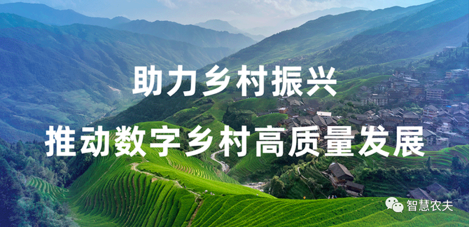 《2025年数字乡村发展工作要点》印发——数字红利将惠及更多乡村