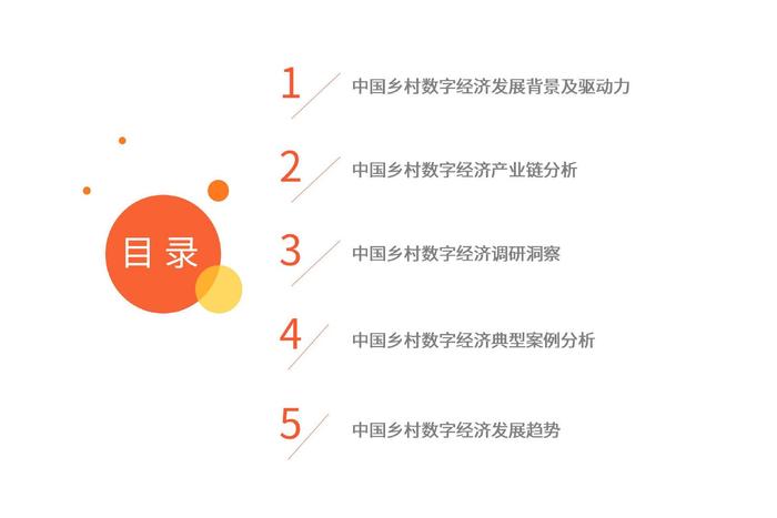 《2025年数字乡村发展工作要点》印发——数字红利将惠及更多乡村