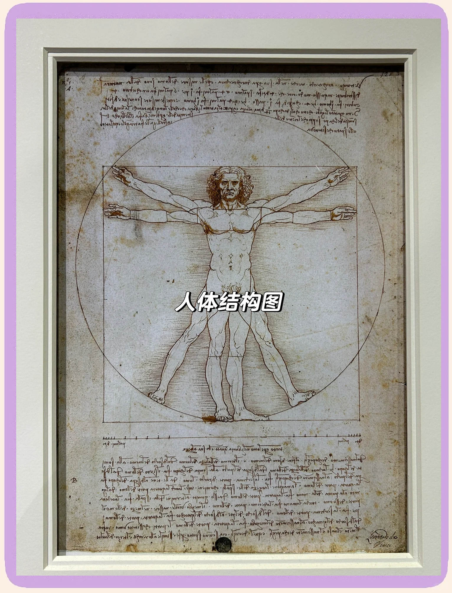 “时空和鸣：解密达·芬奇的艺术科技与自然韵律”特展在北京开幕