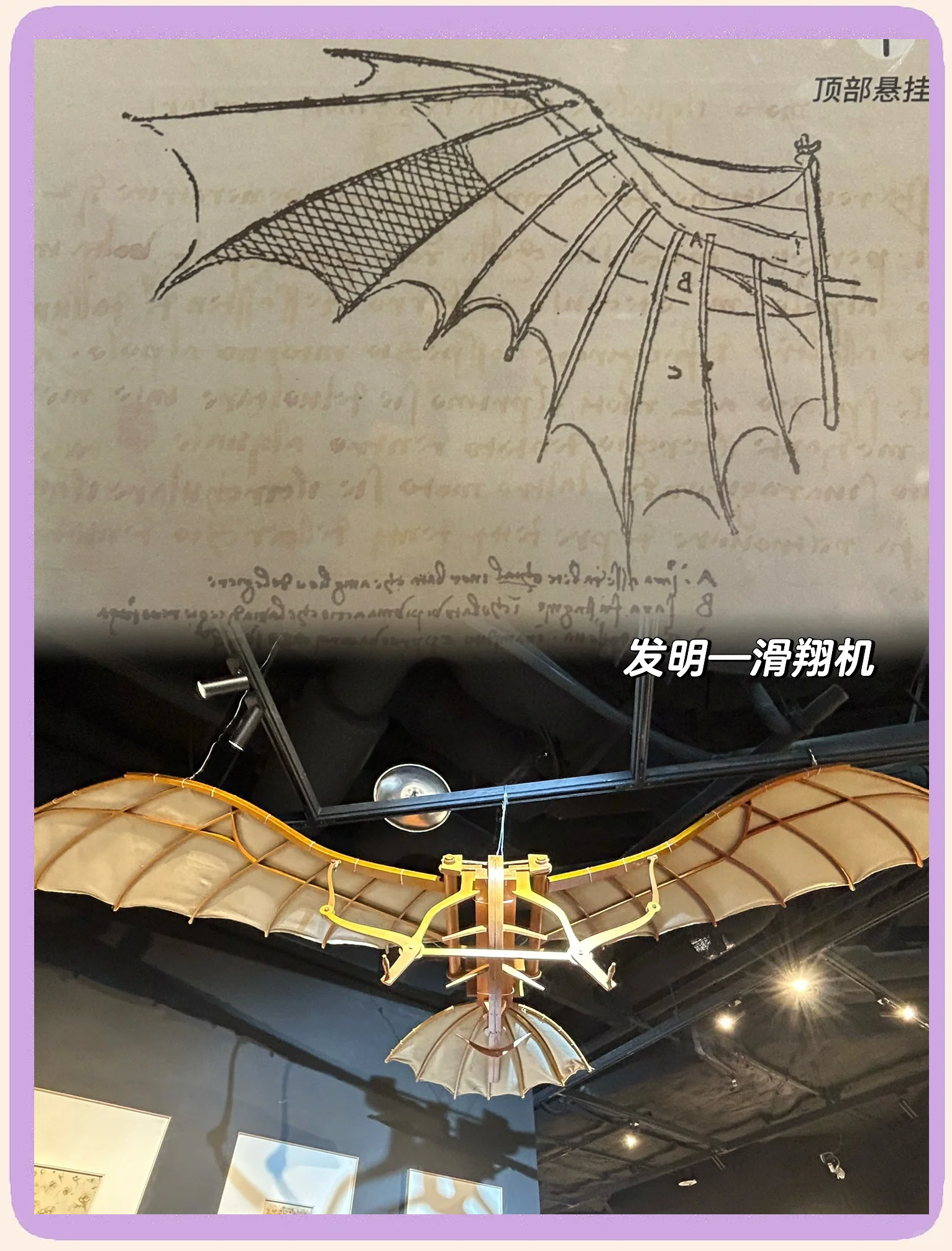 “时空和鸣：解密达·芬奇的艺术科技与自然韵律”特展在北京开幕