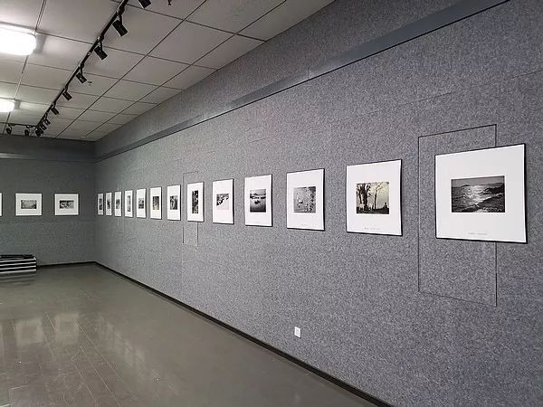 “生活拾趣——纪念华君武诞辰110周年作品展”在京展出