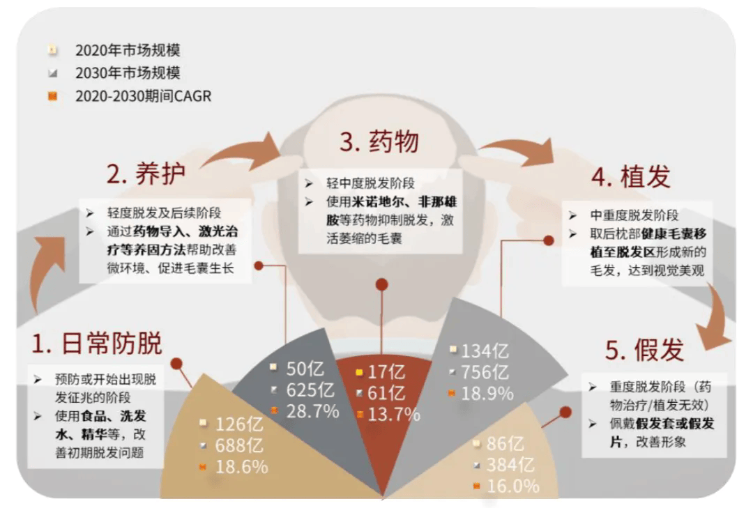 深耕毛发健康领域二十年 碧莲盛用技术与创新推动行业高质量发展