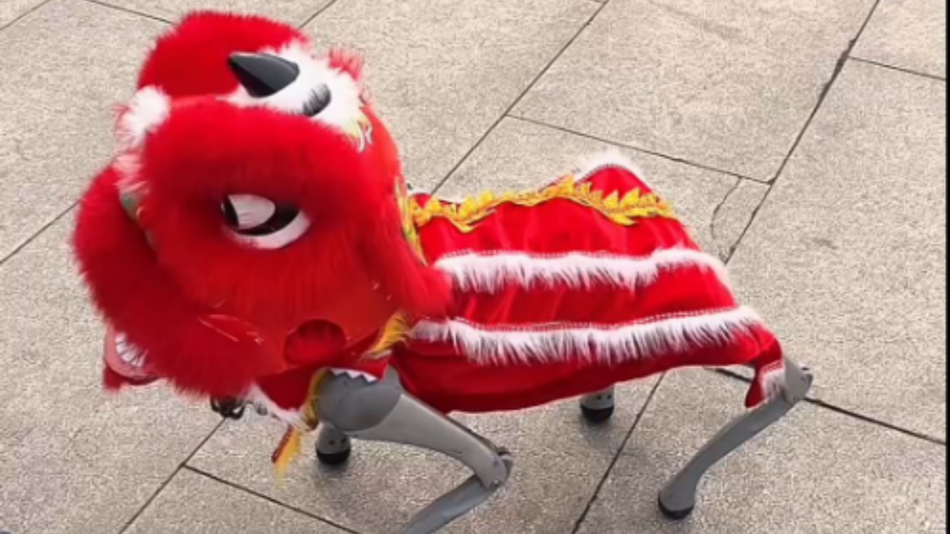 链博会|你见过机器狗舞狮吗?