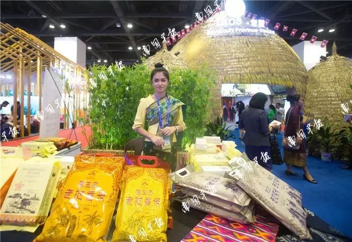 斯里兰卡将出任第22届东博会特邀合作伙伴