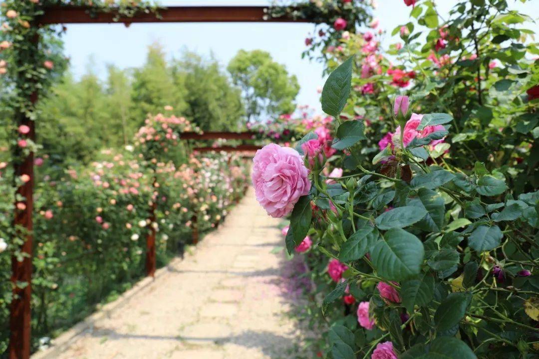 第四届全国大学生绿色化妆品创新创意大赛正式启幕,续写绿色美妆创新篇章