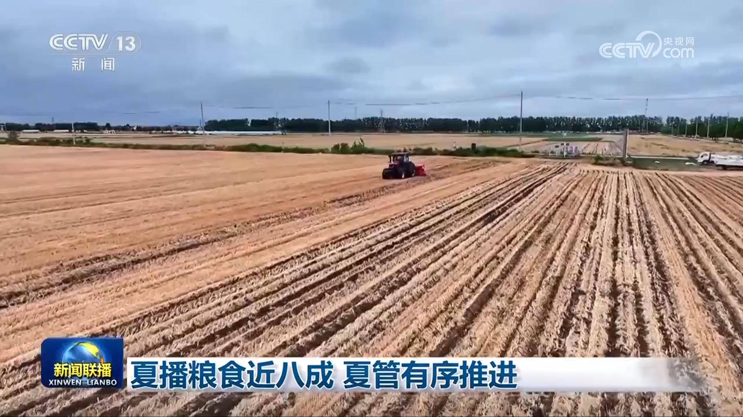 稳市场增信心 中储粮集团有力有序做好最低收购价小麦收购工作