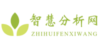 智慧分析网